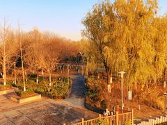-大兴滨河森林公园