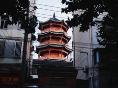 -合肥滨湖国家森林公园