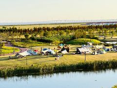 -春花秋色城市公园