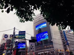 -涩谷区