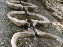 -成都市活水公园
