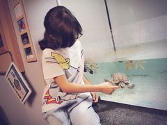 -鹿儿岛水族馆