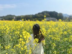 -古田会议纪念馆