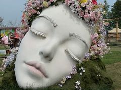 -陶辛水韵