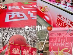 -金茂览秀城
