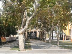 -山东省青岛第二中学(江西路分校)