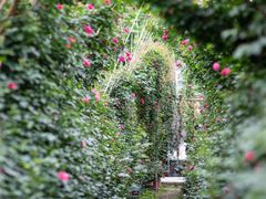 -三圣花乡旅游区