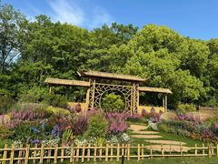 -上海共青森林公园