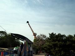 -朝阳公园游乐园