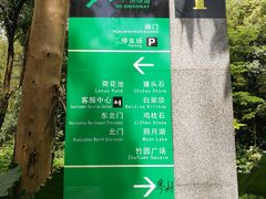 -火炉山森林公园
