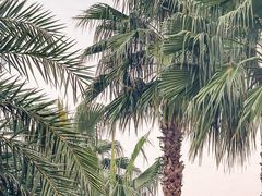 -东钱湖旅游度假区