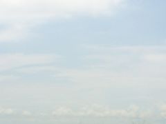 -大湾区中央湿地公园