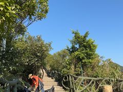 -梧桐山风景名胜区