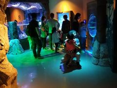 -沈阳海洋探索中心