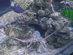 -大连老虎滩海洋公园