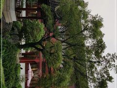 -祝家花園(伯渎港店)