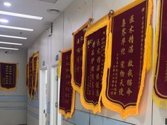 -中农国际动物医院24小时·猫科·骨科·急重症中心