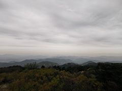 -鲁山国家森林公园