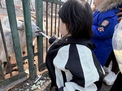 -秦皇岛野生动物园