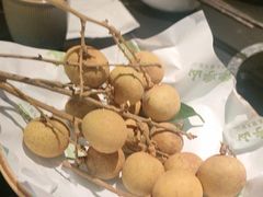 -季季山·云南野生菌火锅(上海首店)