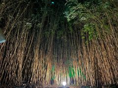 -森波拉火山温泉