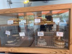 -Catch Bagel(芳草地店)