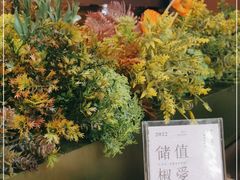 -椒爱水煮鱼川菜(皇姑万象汇店)