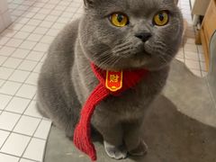 -ID.PHOTO照相馆(嘉里企业中心店)