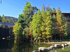 -广州市帽峰山景区