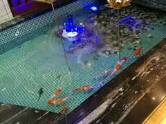 -水晶之星洗浴温泉汗蒸