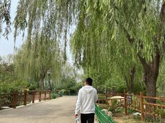 -燕郊植物园