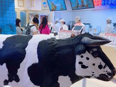 -红星前进面包牛奶公司(君太店)