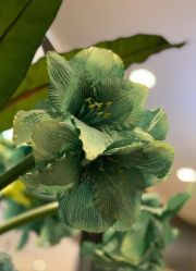 -八佰伴8008星级形象店