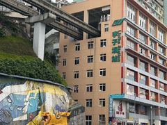 -李子坝梁山鸡(李子坝大鸡哥店)