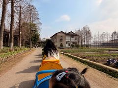 -乌村