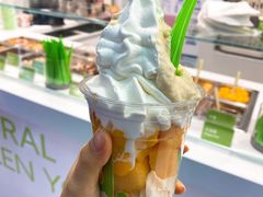 -Salud撒露欧洲冻酸奶(五道口购物中心店)