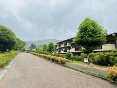 -岚山嵯峨野观光小火车