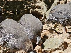 -大连老虎滩海洋公园