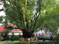 -徐家汇源景区-衡山公园