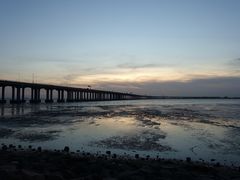 -宝安西湾红树林湿地公园