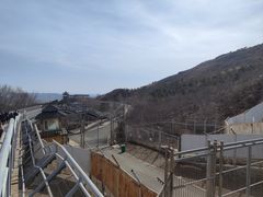 -大青山野生动物园
