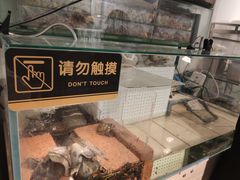 -甜心闲生传统手工冰粉(奎星楼店)