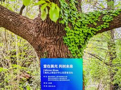 -东方绿舟景区