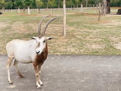 -南京汤山紫清湖生态旅游温泉度假区