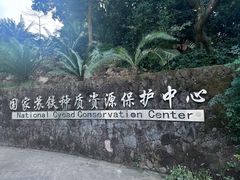 -深圳仙湖植物园