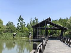 -溱湖国家湿地公园