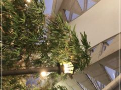 -蛙小侠(珠海华发商都店)