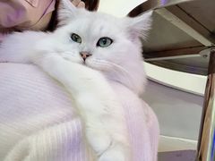 -极木²邸 人与宠物·互动社区