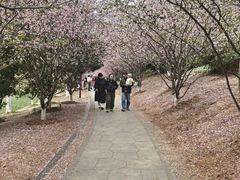 -南山风景名胜区