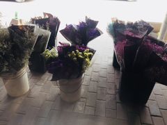 -秦美花卉(天朗·莱茵小城2期店)
